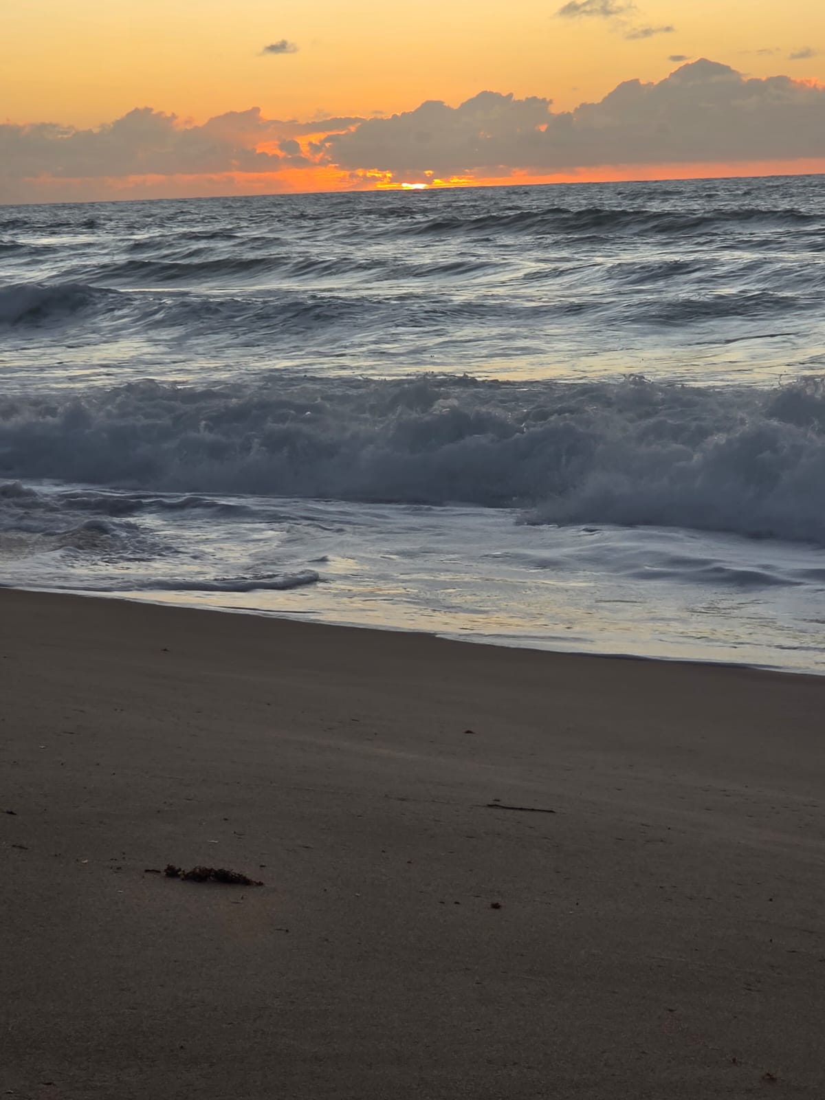 O Cheiro da Praia: A Memória